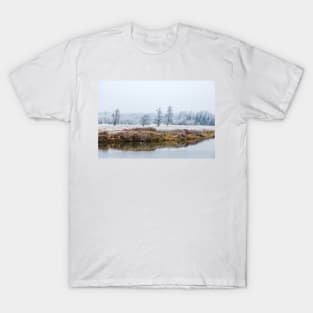 Surrey Winter Landscape T-Shirt